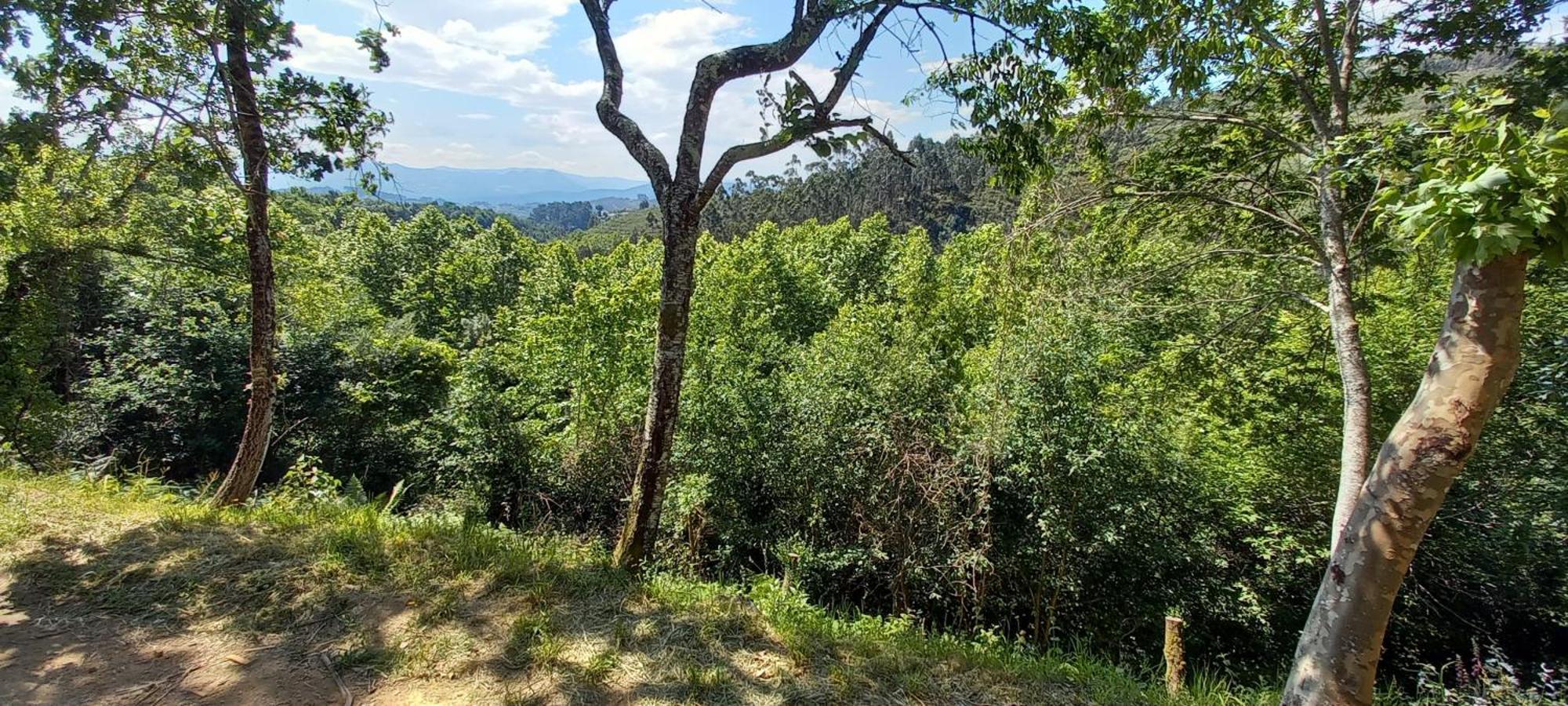 Bell-Tenten Quinta Pomar Do Pontido Cabeceiras de Basto Dış mekan fotoğraf
